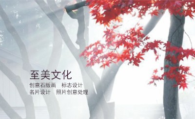 枫叶风景旅游名片设计欣赏模板