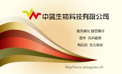 黄色光芒绚烂设计名片设计