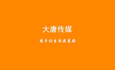白底植物纹理名片设计