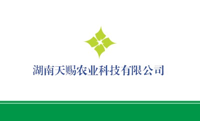 白色简洁商务名片制作