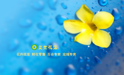 鲜活蓝色水珠嫩黄花卉名片设计