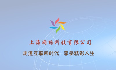 现代简约浅兰网络名片设计