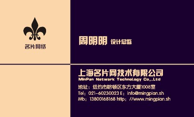 色块对比蓝色米黄技术名片设计