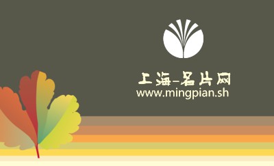 灰底纹彩虹条艺术名片设计