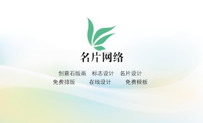 淡雅型白色流光朦胧彩色背景摄影名片设计