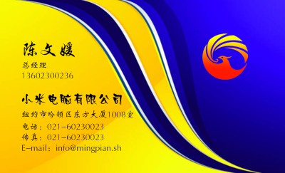蓝黄强烈对比商务名片制作