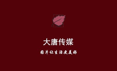 古典朱红渐变程序设计名片模板