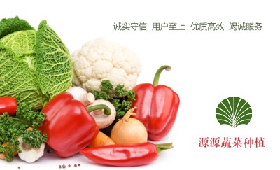 新鲜蔬菜种植名片设计