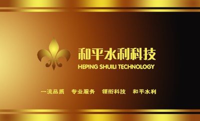 经典型金色高档商务名片设计