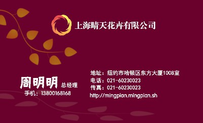 炫彩型深玫红艺术名片模板