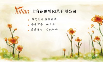 斑斓黄绿艺术插画花卉名片制作