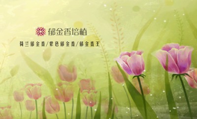 亲切白培训名片设计