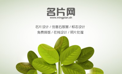 简洁自然绿叶微光名片设计