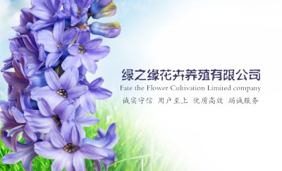 典雅紫色花卉礼品名片设计