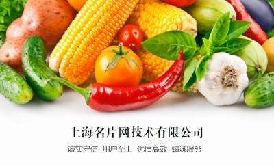 蔬菜白色农业种植名片设计