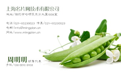 绿色蔬菜豌豆批发零售名片设计