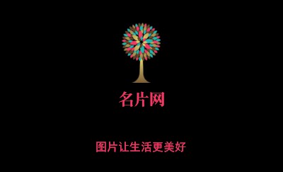 黑底色彩鲜明个性名片设计